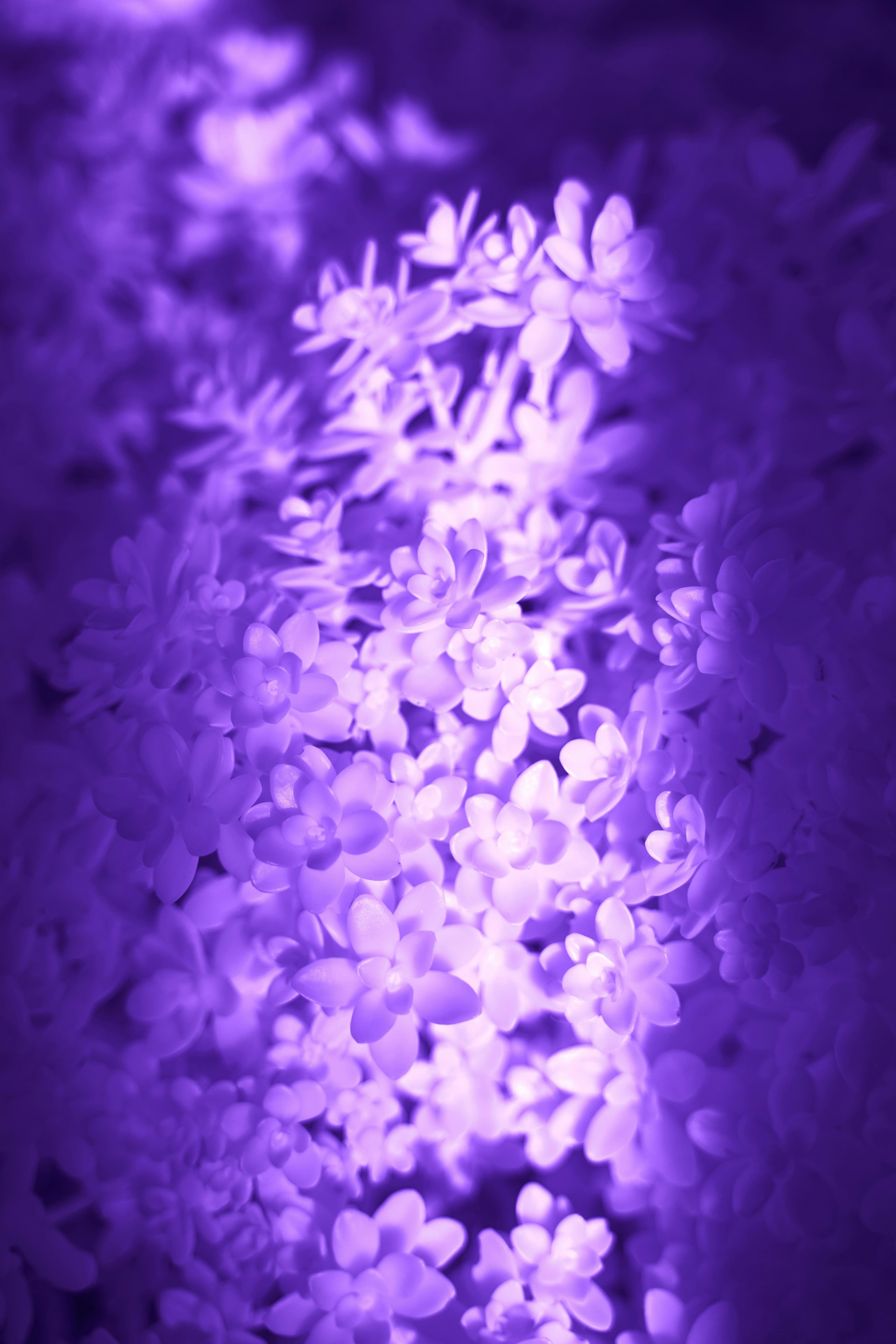 Troubles du comportement alimentaire