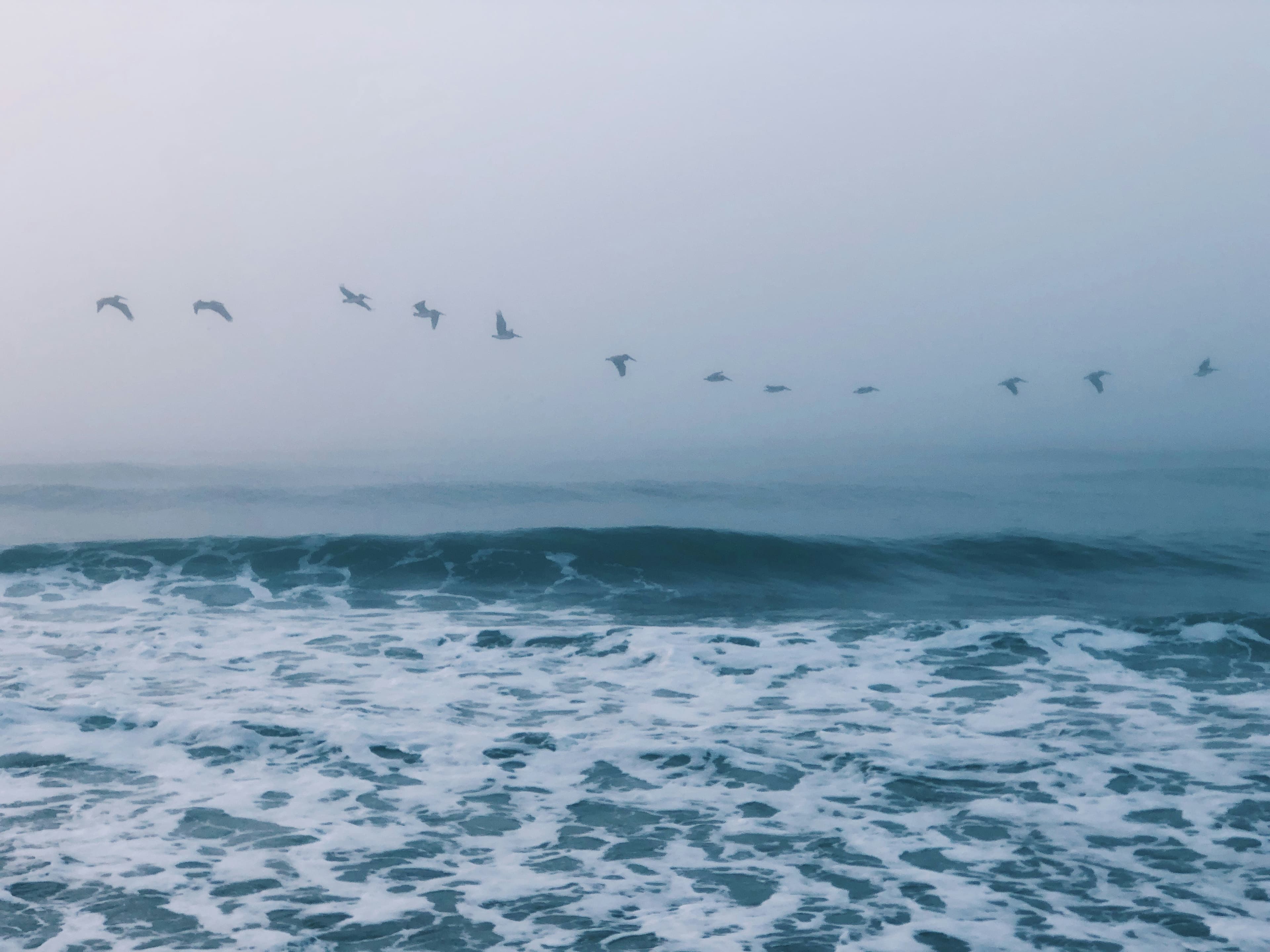 Troubles du spectre autistique